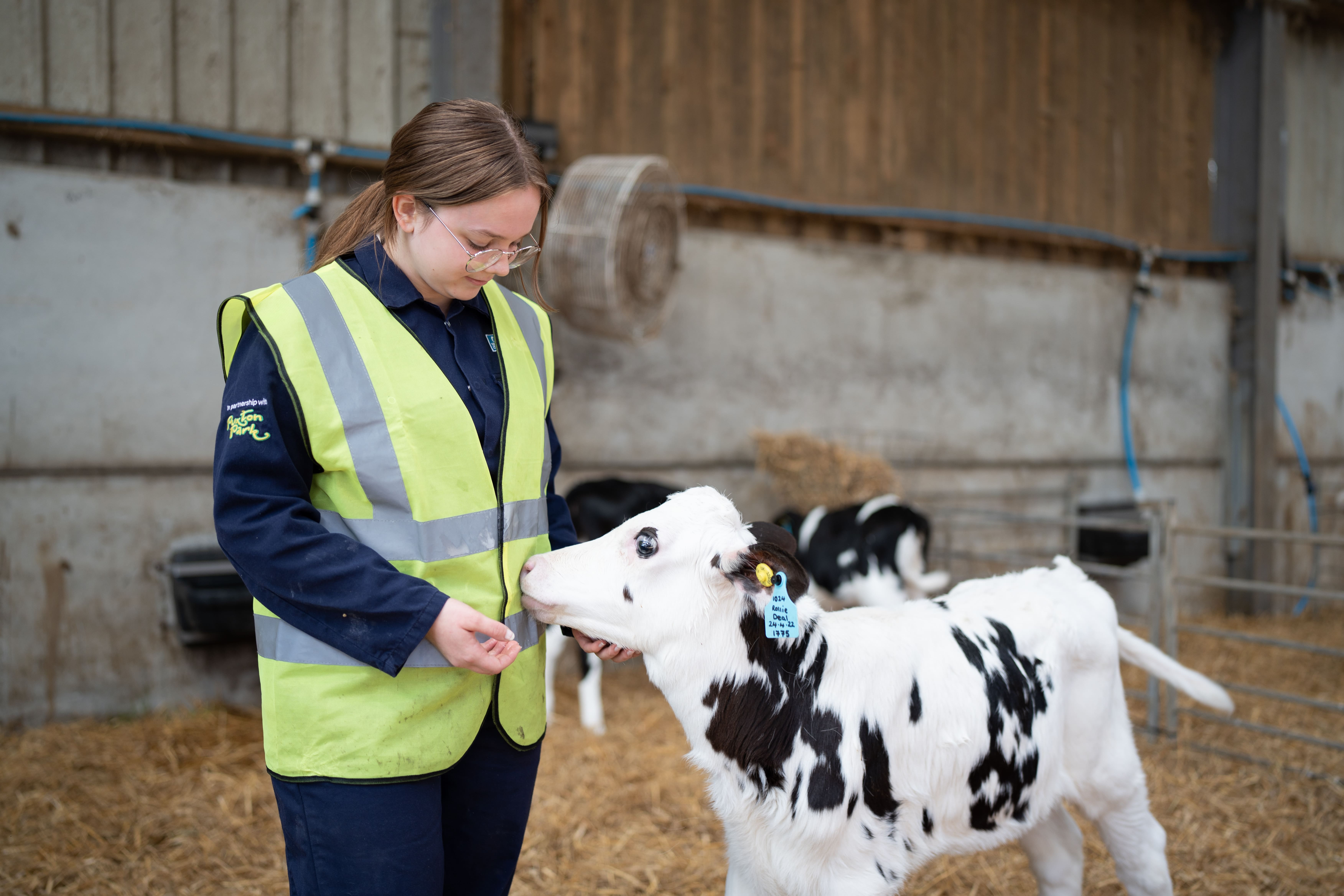 Animal Management Salary Uk